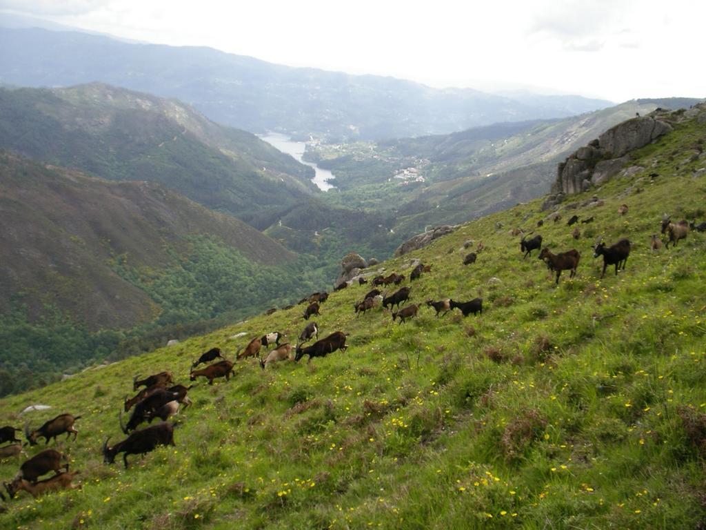 Casa Sulfato Villa Campo do Geres Eksteriør bilde